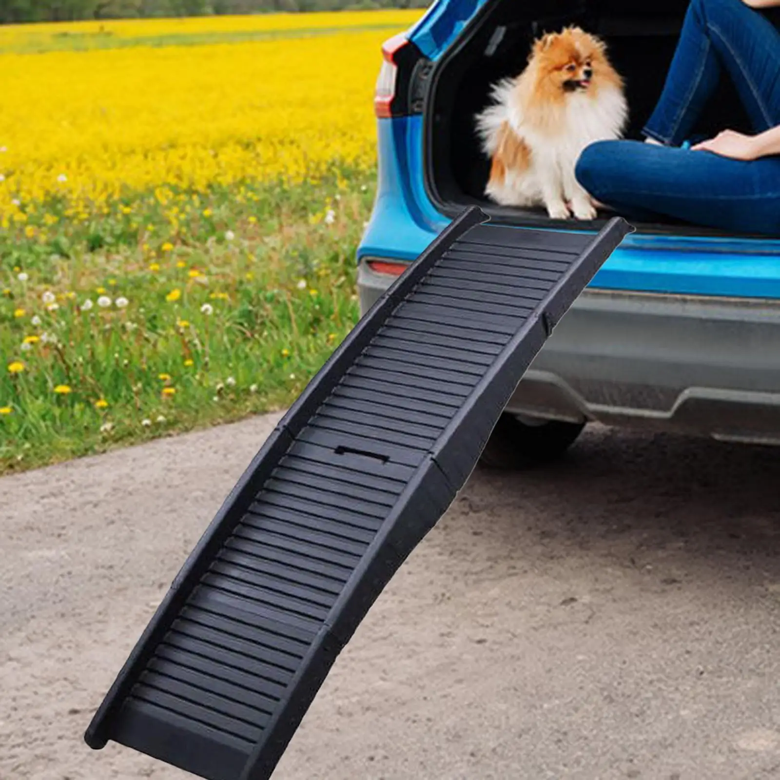 Dog Ramp Pet Ladder Lightweight Durable Folding Non Slip for Sofa Indoor SUV
