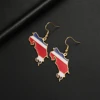 EUEAVAN Drip Oil Costa Rica Map Earrings For Women Stainless Steel Costa Rica Flag Pendant Charm Fashion Party Jewelry Gifts 2