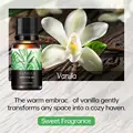 Vanilla