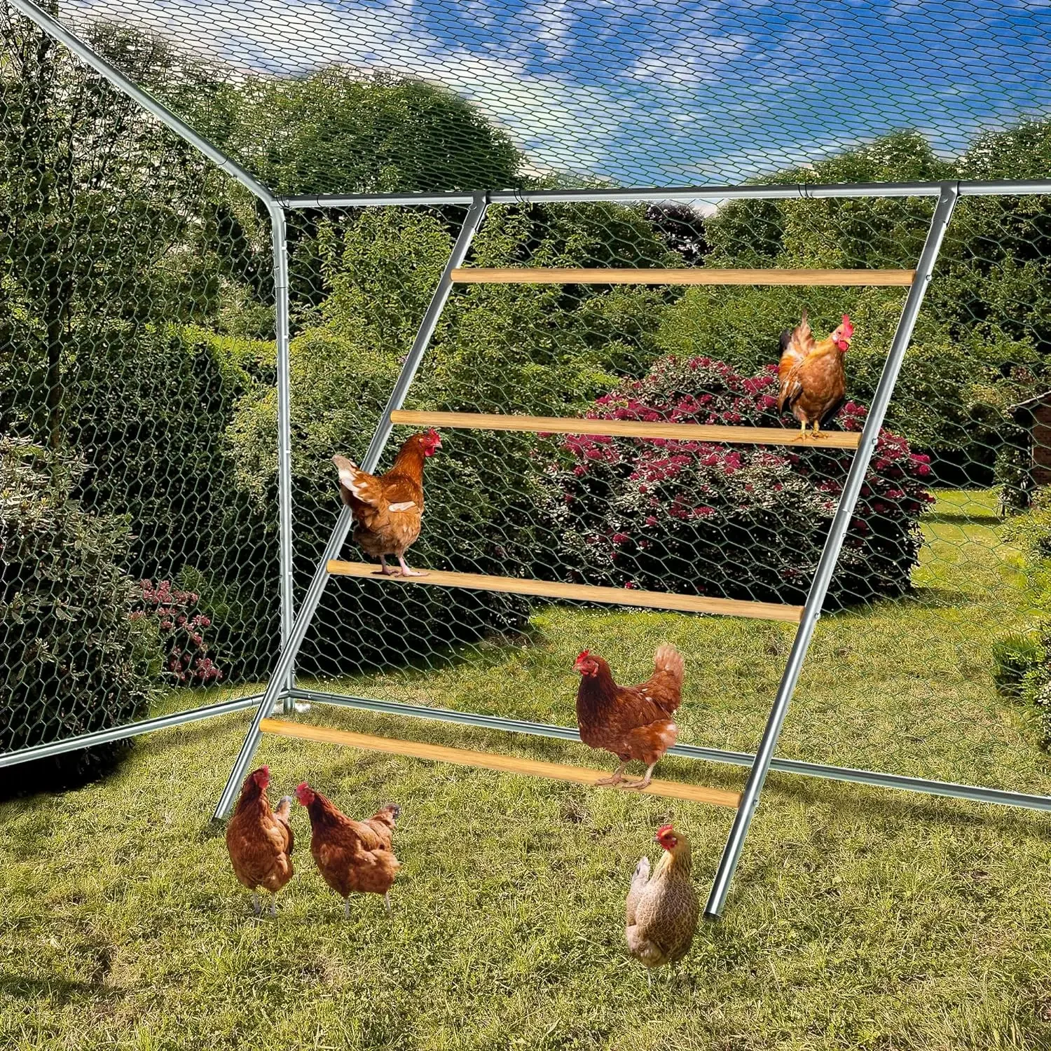 

Chicken Coop Roosting Perch Essentials：Perfect for Backyard Poultry, Easy Installation &,Farm Roost Toys for Chickens