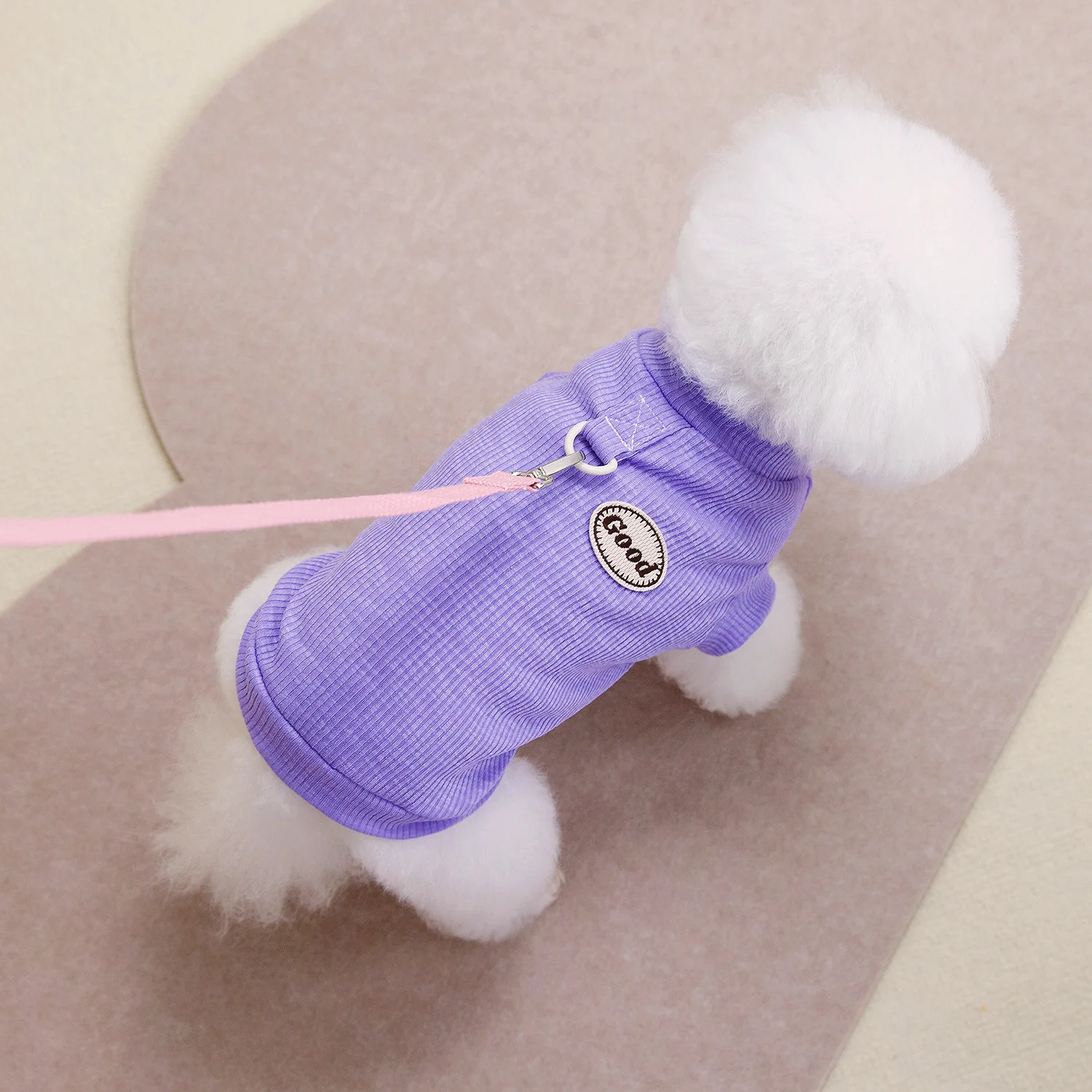 맞춤형 자수 텍스트 및 패턴 의류, 고양이 및 개 의류, 용수철 및 여름 스타일 의류, 3 개/세트