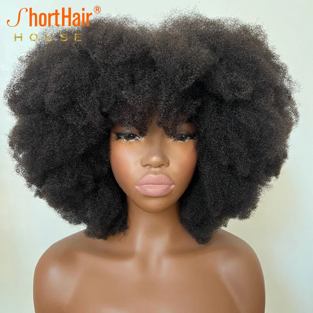 Afro Human Hair Wigs Thicker Bangs 13x4 Transparent Lace Front Wig Brazilian 4x4 Closure Wig 250% High Density Black