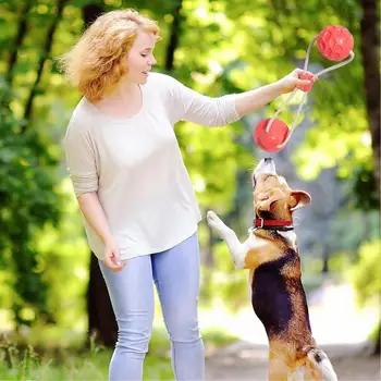 Puppy Chew Toy Suction Cup Puppy Rope Toy Dog Teeth Cleaning Toy Puppy Teether Interactive Toy Ball With Rope Dog Toy For Dogs 2