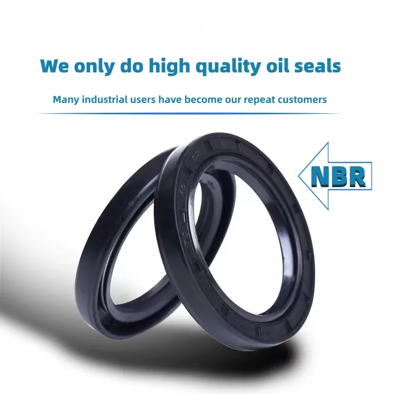 Paraolio NBR 22x40x10 - Doppio Labbro, Per Tenuta Olii E Anti Polvere - Foto 8