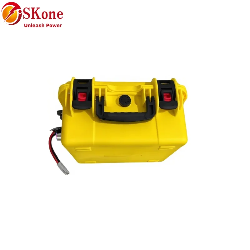 SKone12V 24V 100Ah 120AH 150AH 200AH 300Ah 400Ah Lifepo4 lithium iron phosphate