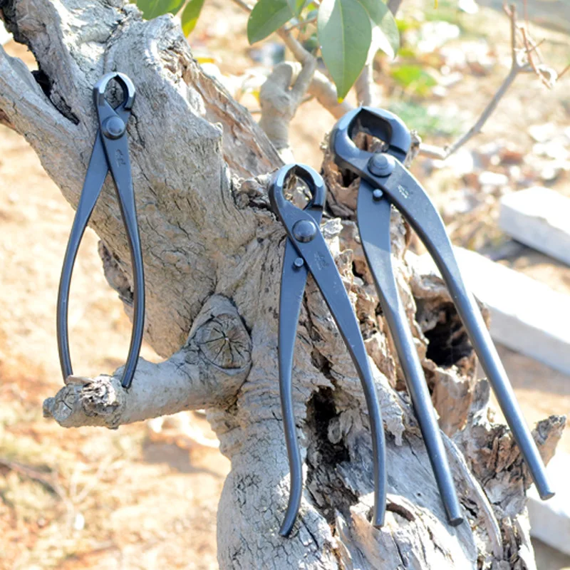 210mm Bonsai Cutter Concave Edge Scissors Root Cutting Pliers Landscape Modeling Tree Bruches Scissor Garden Bonsai Tools 3