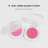 Blusher Powder Private Label Pigment Vegan Monochrome Fine Matte Brightening Blush Makeup Custom Logo Wholesale White Package 3