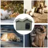 Feral Cat House Large Insulated Cat Shelter Waterproof Weatherproof Pet House with Transparent Door Washable Cat Hut for Cat Dog 5