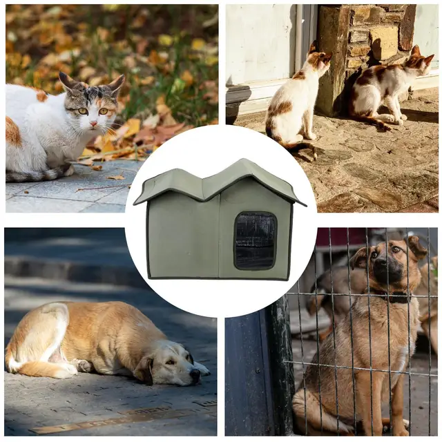 Feral Cat House Large Insulated Cat Shelter Waterproof Weatherproof Pet House with Transparent Door Washable Cat Hut for Cat Dog 5