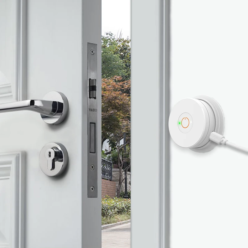 

W100 Für Wehere Lock Bluetooth-kompatibel Zu WiFi Brücke Für M500 M501 M510 M520 M521 M530 M531