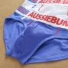 Men's Fashion Cool European and American Cotton Triangle Pants Student Youth Shorts 3