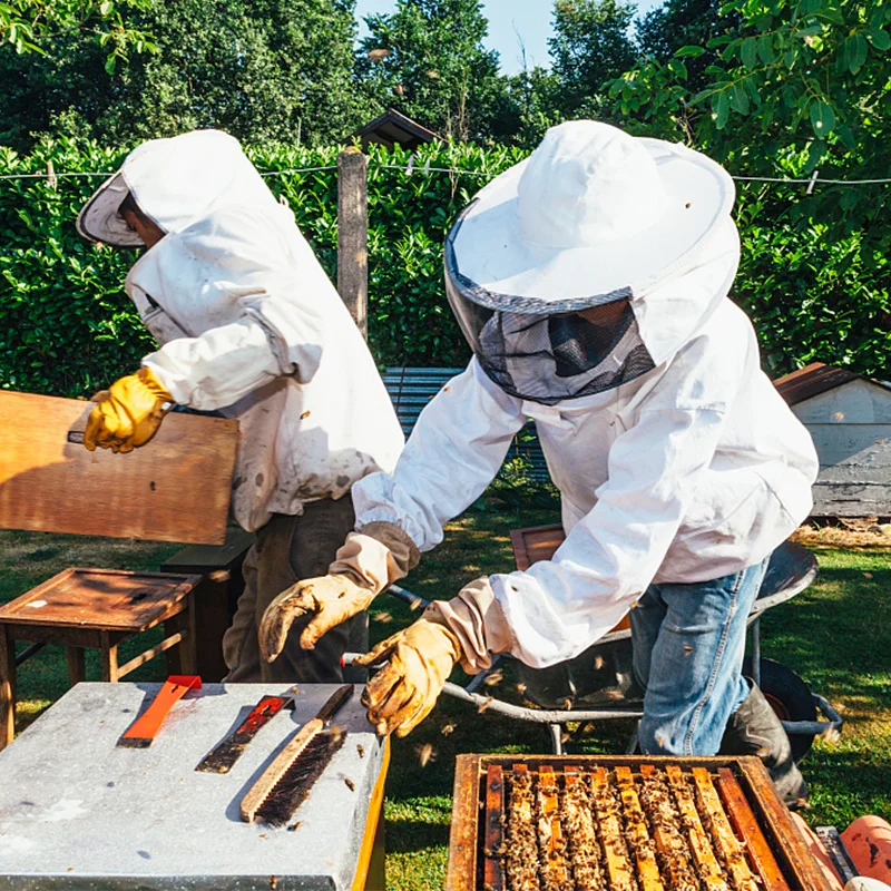 Beekeeping Protective Jacket Farm Keeping Smock Suit Bee Keeping with Hat Equip Suit Cotton Blend Veil Breathable Dress