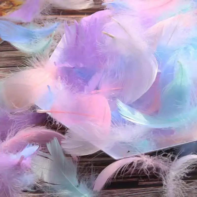 

Macaron color DIY feather 8-15cm funny cat stick chandelier feather dream catcher decorative colored feather