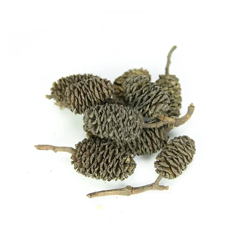 20pcs/lot Alder Cones Anti-Bacterial PH Minus Water Treatment Fish Shrimp Tank Aquarium 2