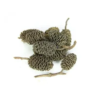 20pcs/lot Alder Cones Anti-Bacterial PH Minus Water Treatment Fish Shrimp Tank Aquarium 2