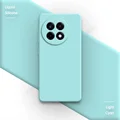 Light Cyan