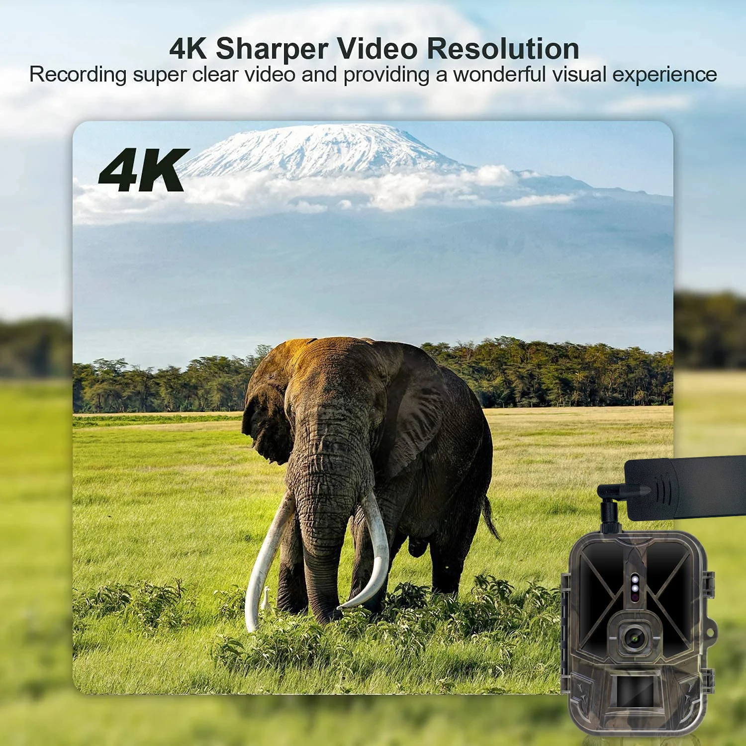 HC940PRO 10AA Dry cell version 4G LIVE Video Trail Camera 36MP 4K Wireless Game APP Cloud Service Waterproof IP65 Wildlife Cam
