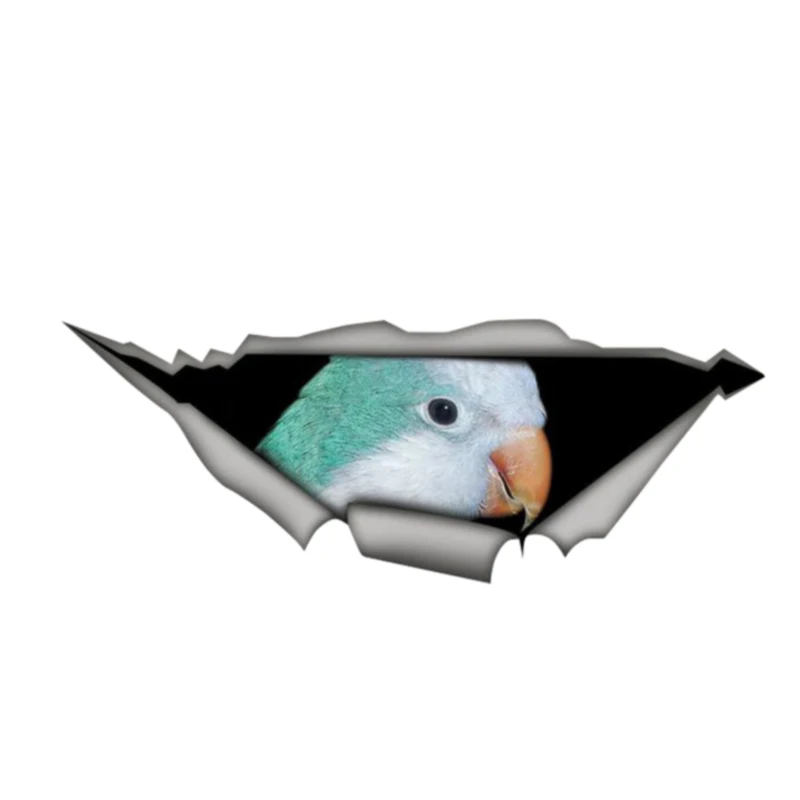 

Personality Blue Quaker Parrot Vinyl Waterproof Car Window Accessories Vinyl Decorative 13cm X 5cm