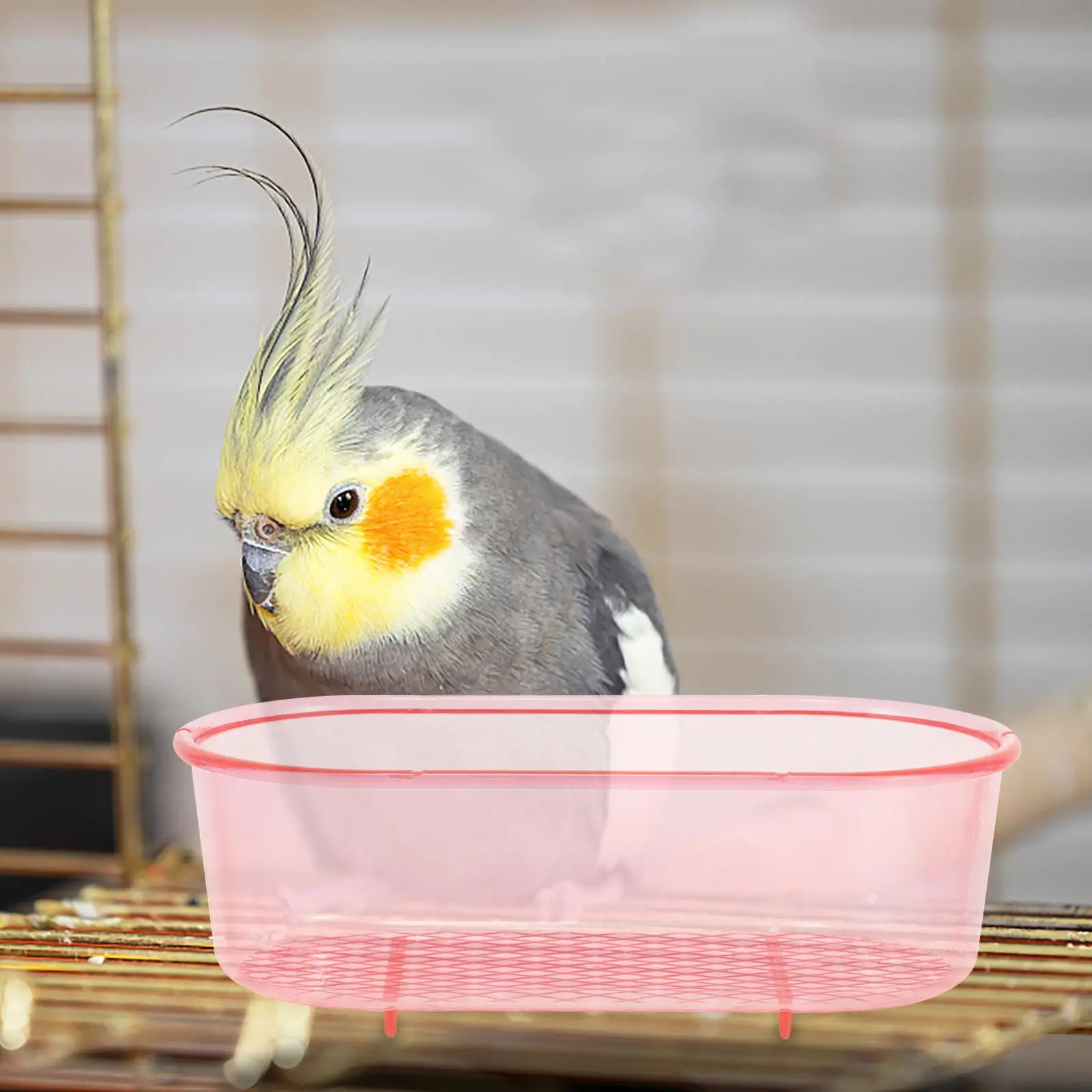 1 Bird Bath Box Plastic Compact Bathtub for Cage Parakeet Bathing Cube Basin Reusable Safe Smooth Edges Multi