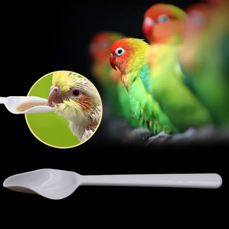 Bird Parrots Feeder Spoon Pointed Milk Avoid Baby Bird Feeding Watering- Suppatcher Pole Thickness Wire Rope Livestock