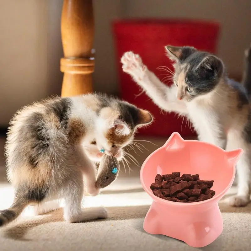 

Raised Cat Food Bowls Easy To Use And Transparent Plastic Whisker-Friendly Anti-Vomit 15-Degree Tilt Cat Plate Feeding Bowl.