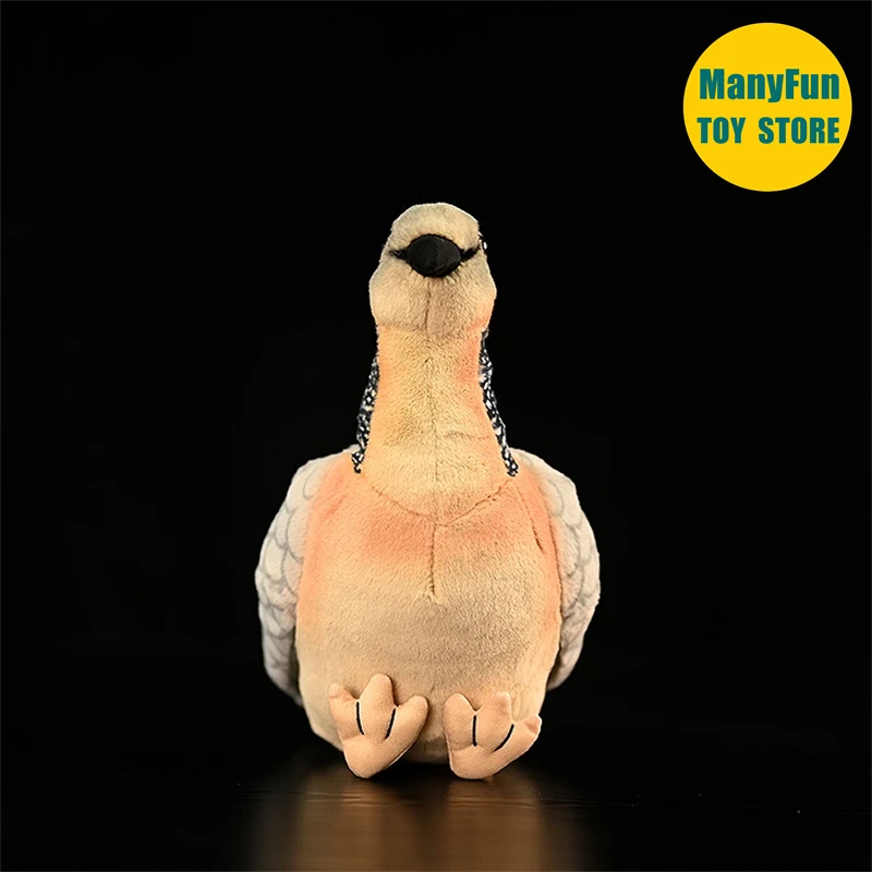 Spotted Dove Plush Toy Turtle Dove Plushie Wild Dove Peluche Lifelike Birds Stuffed Animals Simulation Doll Toy For Kids 3