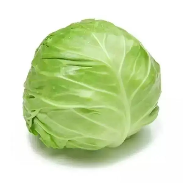 a Head Of Cabbage Store