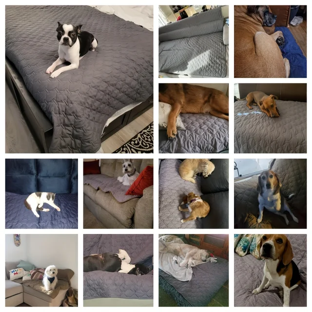 Double-Sided Waterproof Dog Bed Cover Pet Blanket Sofa Couch Furniture Protector For Dogs 6