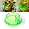 Reptile Feeding Bowl Clear Anti-escape Pet Bowl Insect Worm Food Container Lizard Gecko Chameleon Reptile Small Pet Water Bowl 6