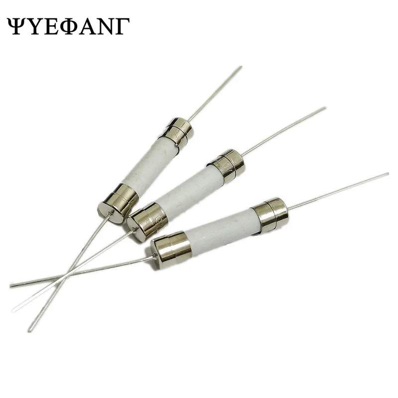 5pcs 10A 12A 15A 20A 25A 30A 250V 6*30mm Miniature Fuses 6x30mm Axial ...
