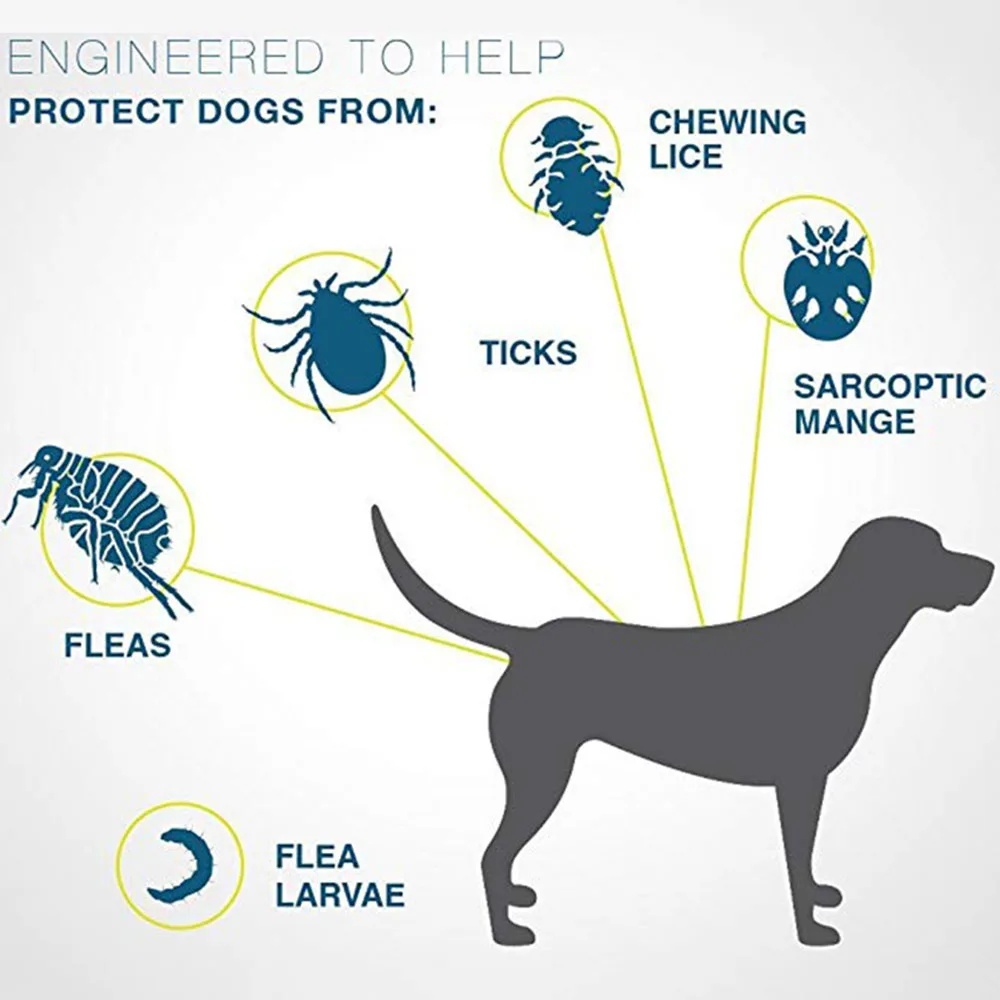 Pet Flea and Tick Collar Up To 8 Month Flea Tick Prevention Anti-mosquito & Insect Repellent For Dogs Cats Puppy Supplies