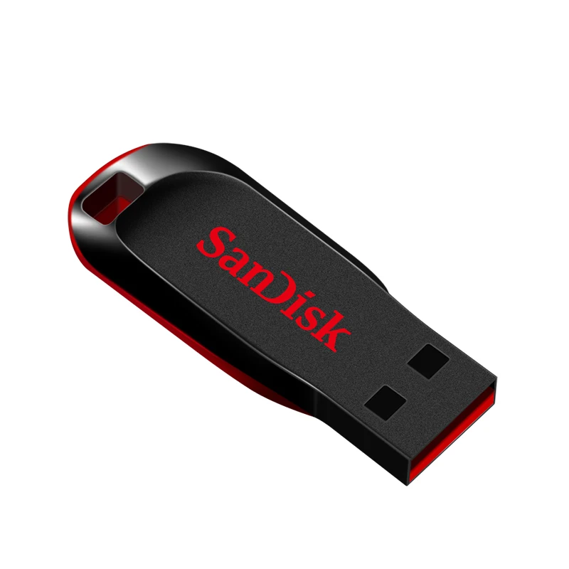 Sandisk Mini Key USB 2.0 Flash Drive