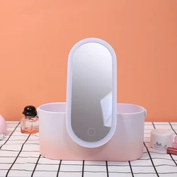 Illuminated Travel Makeup Storage Organizer with Adjustable LED Mirror (Graded powder)