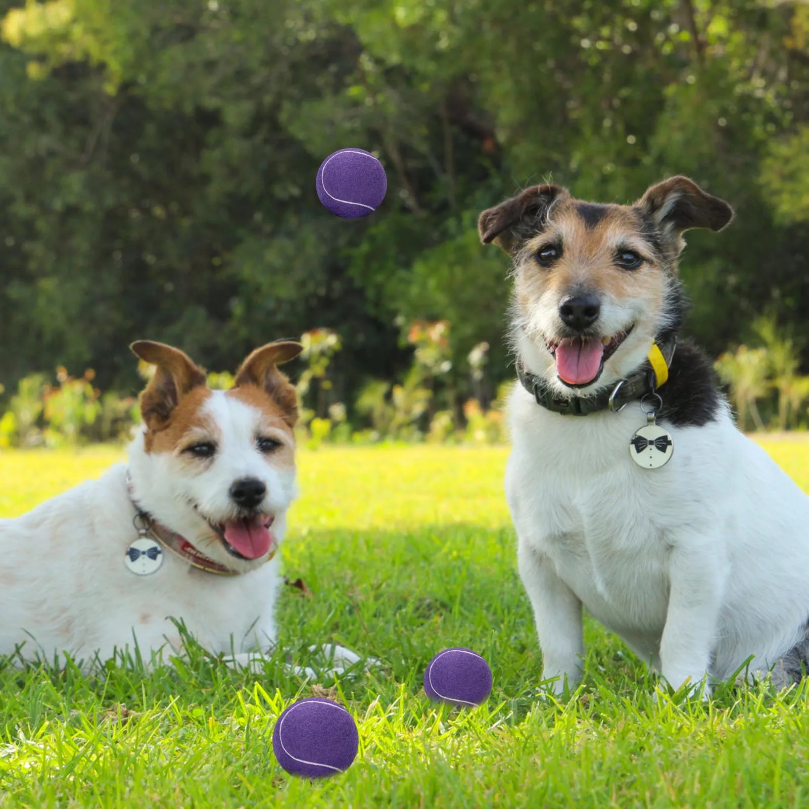 12pcs Tennis Balls with Mesh Carry Bag High Elasticity Professional Tennis Training Game Ball Outdoor Dogs Chase Training Toys