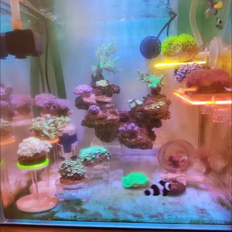 Acrylic Brain Coral Lifting Platform Coral Base Bracket Growing Holder SPS Rack Marine Reef Stand Aquarium Accessories fish tank ornaments fish tank decorations aquarium ornaments