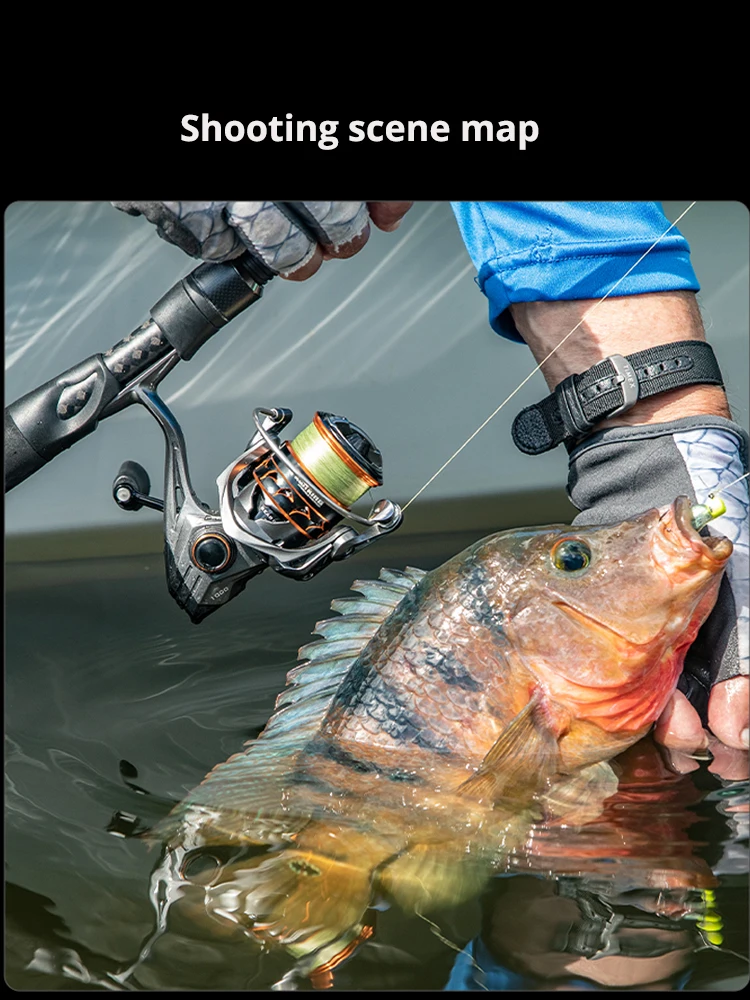 KastKing Kestrel Spin Finesse System Spinnrolle 4,5 kg Max. Zugkraft 10BB + 1RB 6,2:1 Übersetzungsverhältnis 1000 SFS Carbon Body – Detail 2