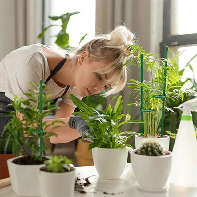 Növénytámogató Halom Állvány Virágokhoz Félkör Üvegházak Elrendezés Rögzítő Rúd Tartó Orchard Kert Bonsai Szerszám - Image 5