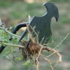 Weeding Artifact Uprooting Weeding Tool Steel Weed Puller Dual Purpose Hand Remover for Garden Yard Farm Weed Removal 5