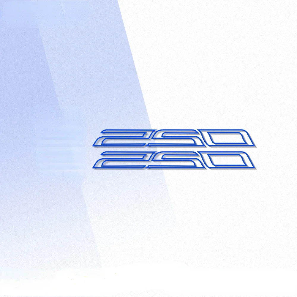 ͻŰ Z250 z 250  Ϲڽ ƼĿ, θ  Į,  Į, ݻ  Į