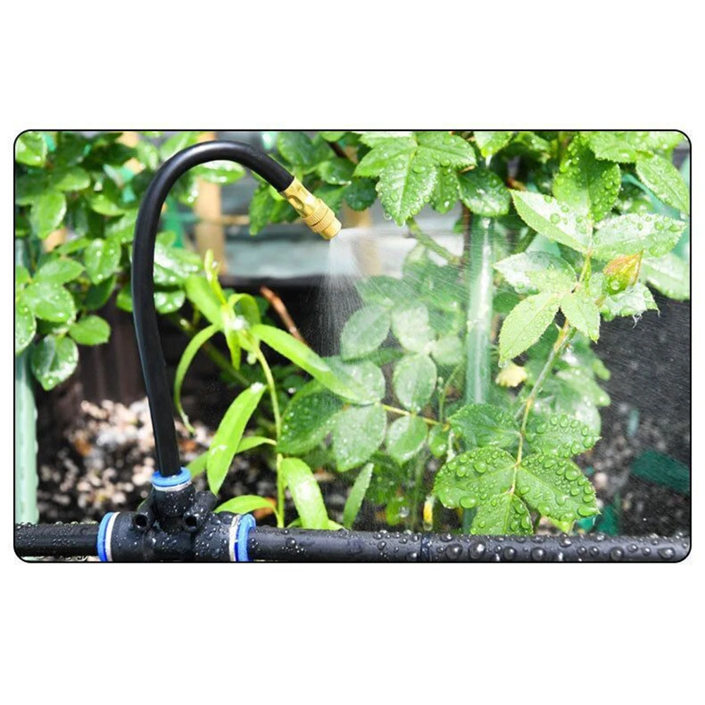 ����� ���� ������ ���� ����, �߿� �̽�Ʈ ���� ����, ���� ������ ���� ���� ����