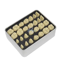  new 1pcs 5:1times Dental Simulation Teeth Teaching Model Dental Teeth Models Are Used For Teaching And Hospital Dentist Material 