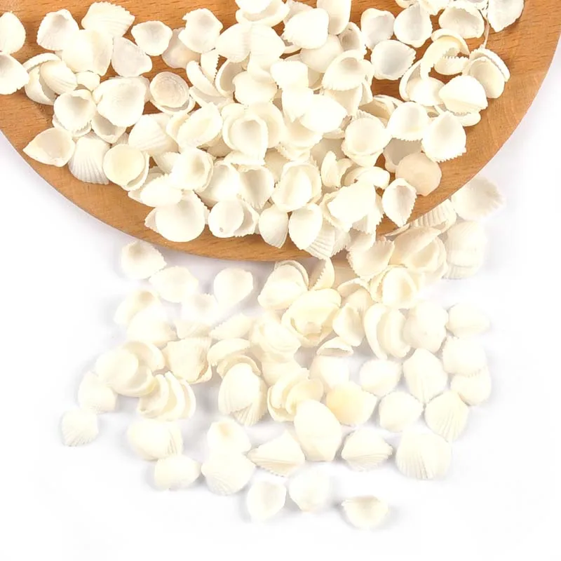 Mini Natural Sector Shells 100pcs for Tank Aquarium Glass Bottle Beach Decor DIY Aquarium Embellishments Crafts Supplies natural shell ornaments