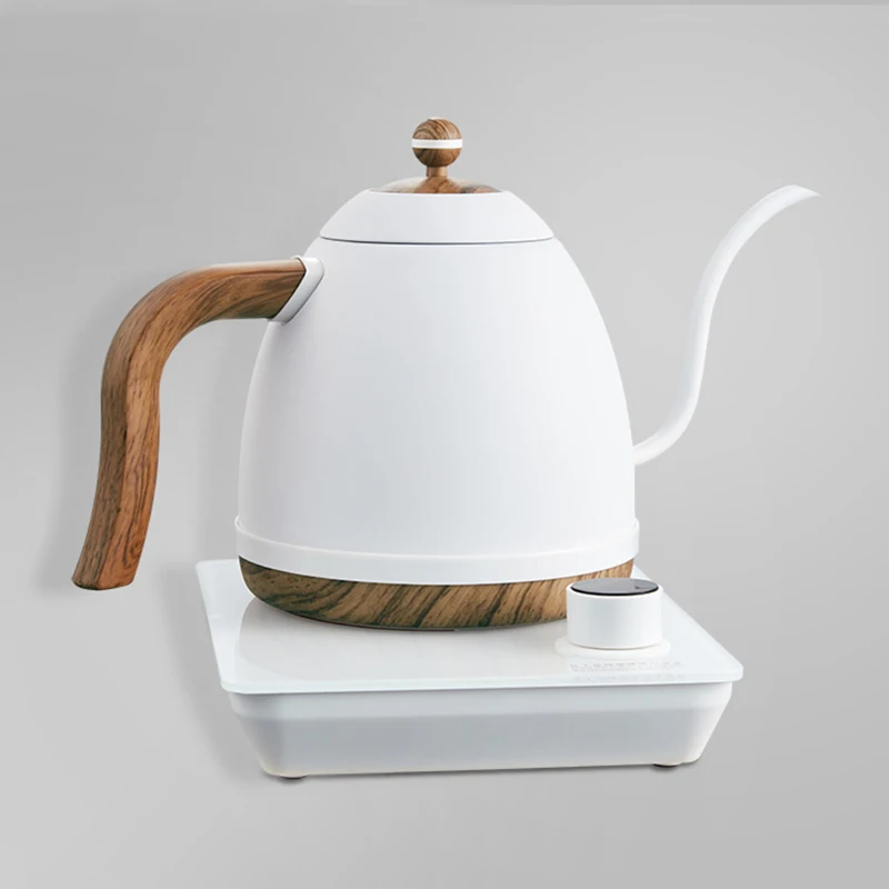 110V/220V Electric Kettle Long Spout Coffee Kettle Tea Pot Hand Brewing  Coffee Pot Tea Maker with Temperature Controller 1L