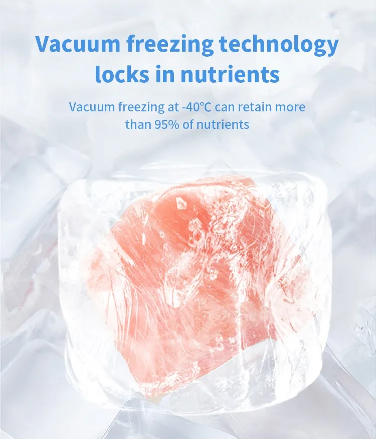 Description Picture 6 of itemNew Professional Mushroom Fruit Vacuum Freeze Dryer Dehydrator Liofilizador Machine Freeze Dried Candy Skittles Food Sweets