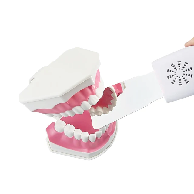 Asa Dental Pinza Per Estrazione Americana #65 Non Zigrinata (19 Cm - Foto 6