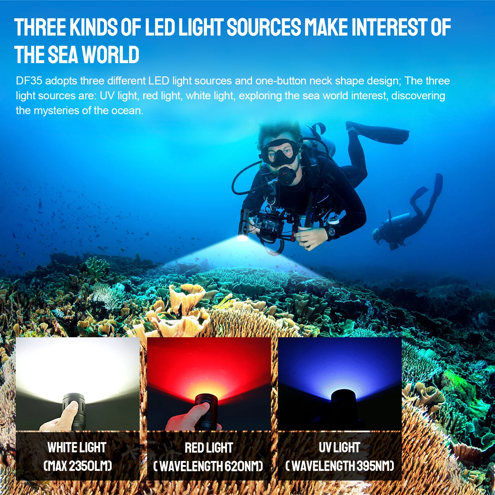 Slide image d27ef8317ac44435a5c0011bfc41c9c2