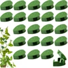 Invisible Plant Climbing Wall Fixture Clips 10-50Pcs PcsRattan Vine Bracket Fixed Buckle Leaf Clips Traction Holder Garden 1