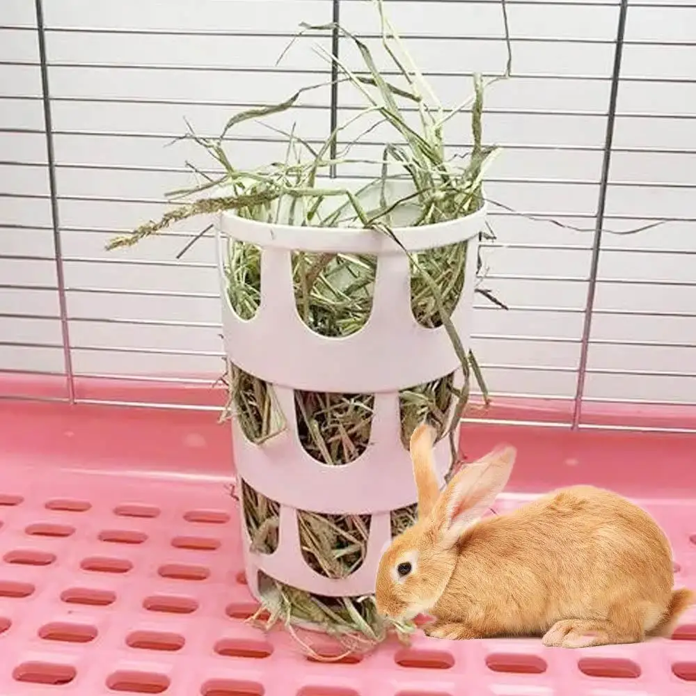 ģĥ 䳢  öƽ ǰ 漭, ܵ ġ  , ܵ ̳ 䳢   ޱ