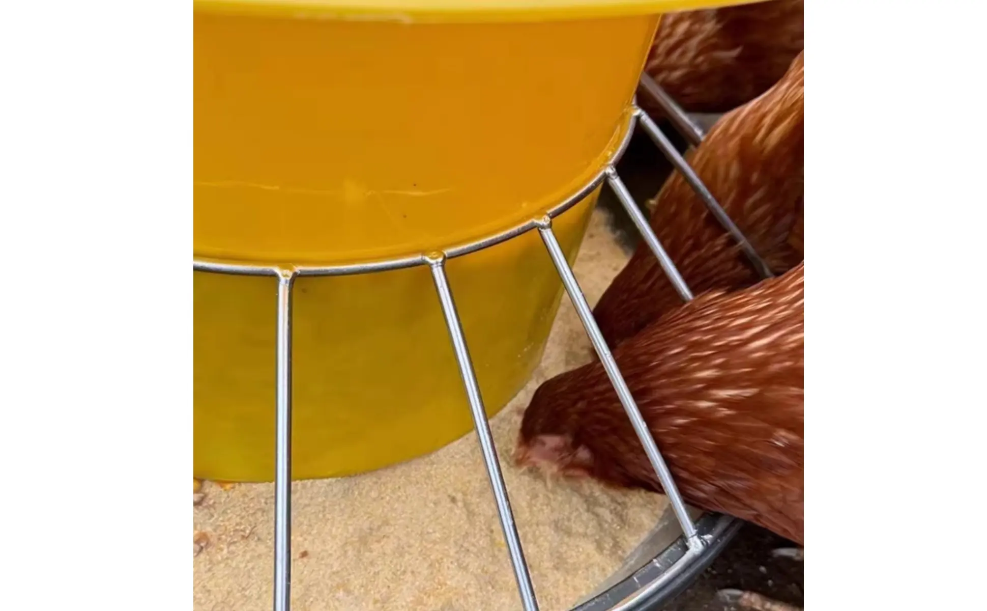 Round Fowl Feeder Large Capacity Fowl Feeder Chicken Feeding Trough Easy Installation Automatic Nourishment Container Anti-Perch