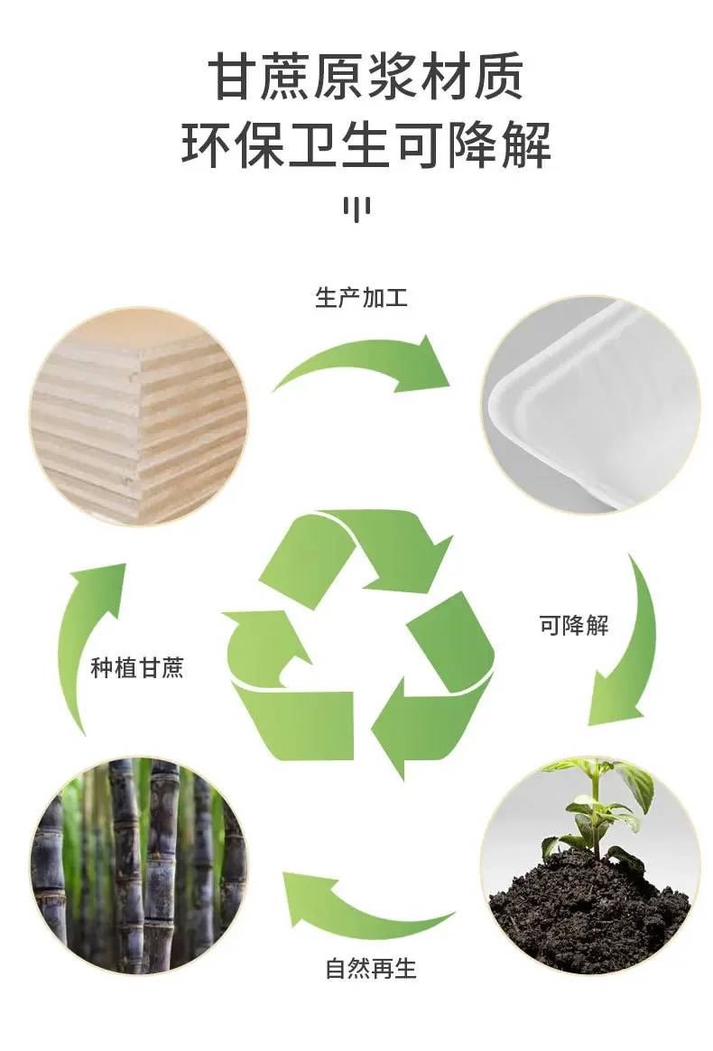 Description Picture 5 of itemDisposable Eco-Friendly Lunch Box Prep Packaging Food Container Bento Box Wedding Baby Shower Easter Party Cake Packing Boxes